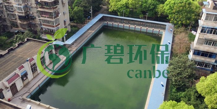 游泳池水變綠是什么原因？游泳池水處理方法(圖1)