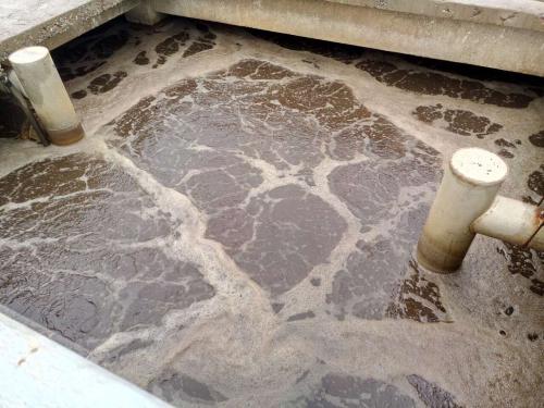 什么是制革廢水?制革廢水特點與處理工藝(圖1) 什么是制革廢水?制革廢水特點與處理工藝(圖1)