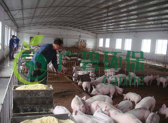 什么是養殖廢水?養殖廢水處理工藝(圖1) 什么是養殖廢水?養殖廢水處理工藝(圖1)