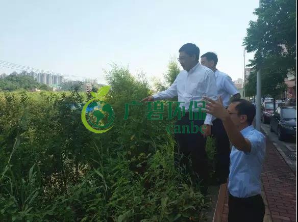 佛山市生態環境局長楊永泰視察高明黑臭水體圍拳涌整治工作(圖1) 佛山市生態環境局長楊永泰視察高明黑臭水體圍拳涌整治工作(圖1)