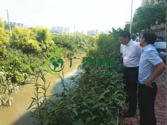 佛山市生態環境局長楊永泰視察高明黑臭水體圍拳涌整治工作(圖3) 佛山市生態環境局長楊永泰視察高明黑臭水體圍拳涌整治工作(圖3)