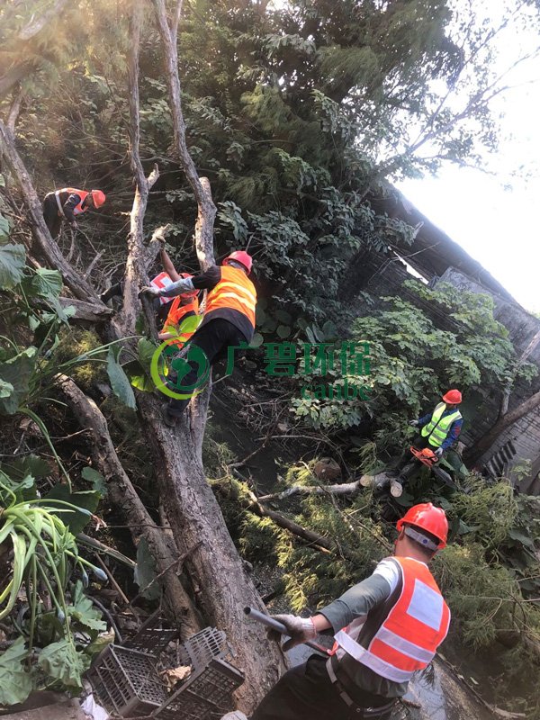 廣碧環(huán)保在順德古鑒涌項(xiàng)目現(xiàn)場(chǎng)召開(kāi)施工生產(chǎn)動(dòng)員大會(huì)(圖3) 廣碧環(huán)保在順德古鑒涌項(xiàng)目現(xiàn)場(chǎng)召開(kāi)施工生產(chǎn)動(dòng)員大會(huì)(圖3)