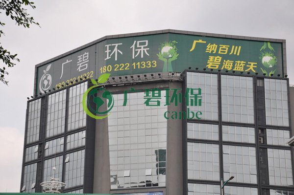 大良黨工委書記、順控環保水務總經理一行視察黑臭水體治理工作(圖4)