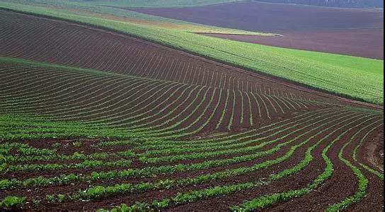 土壤檢測(cè)標(biāo)準(zhǔn)取樣方式，越標(biāo)準(zhǔn)結(jié)果越準(zhǔn)確