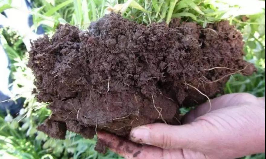 土壤侵蝕是什么？什么導(dǎo)致了土壤侵蝕？