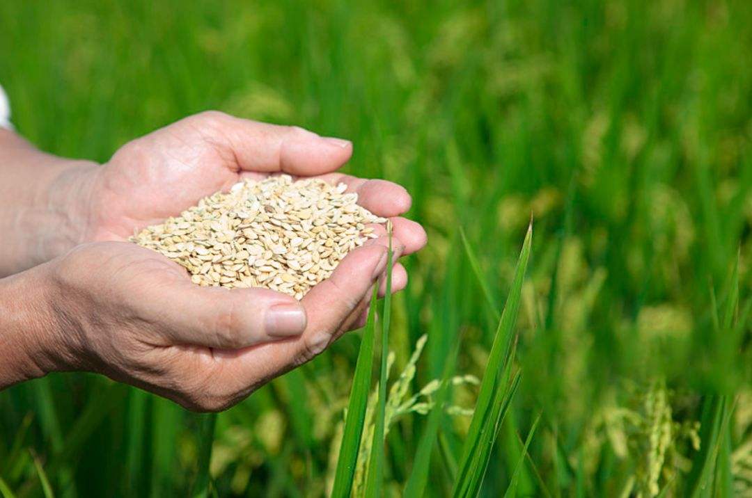 土壤修復市場，該火了！(圖3)